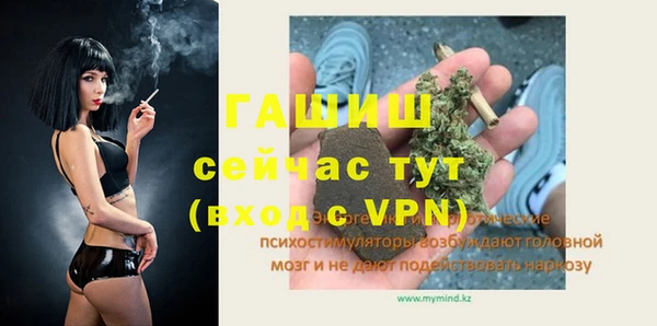 молекула духа Новозыбков