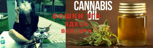 молекула духа Новозыбков