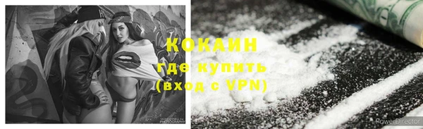 индика Елабуга