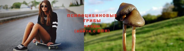 spice Болотное
