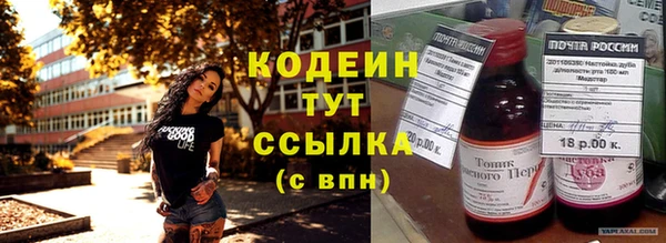 молекула духа Новозыбков