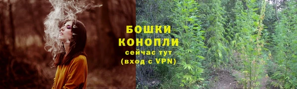 молекула духа Новозыбков
