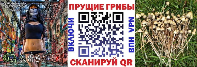 Галлюциногенные грибы ЛСД Одинцово