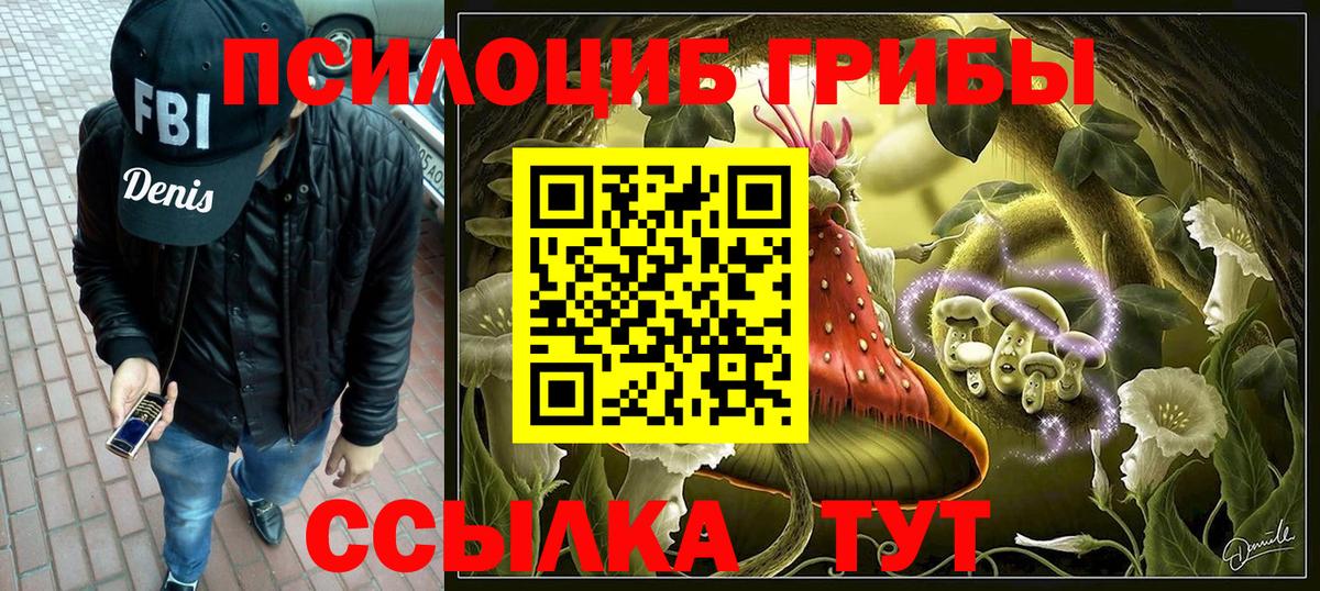 Псилоцибиновые грибы Psilocybe Одинцово