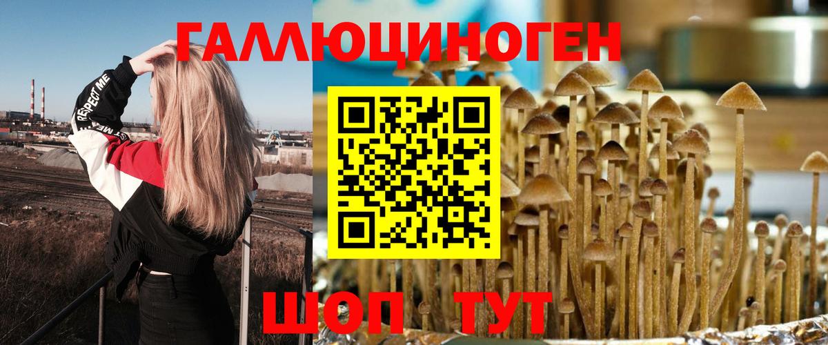 Псилоцибиновые грибы Psilocybine cubensis  Псилоцибиновые грибы Cubensis  Вход с VPN  купить наркотик  Одинцово 